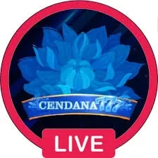 CENDANA777 dan cahayatoto: Rangkuman Brand yang Banyak Dicari